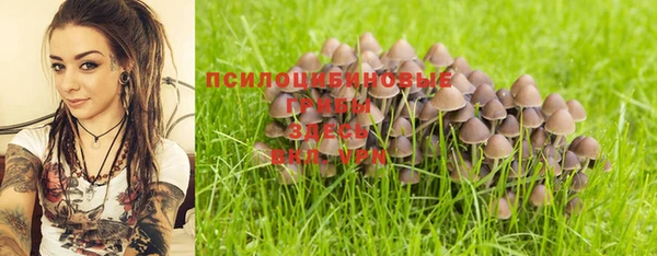 ECSTASY Алексин