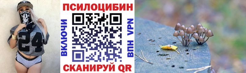 Псилоцибиновые грибы Cubensis  Мещовск 